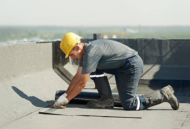 Best Home Insulation Services  in Dunbar, WV