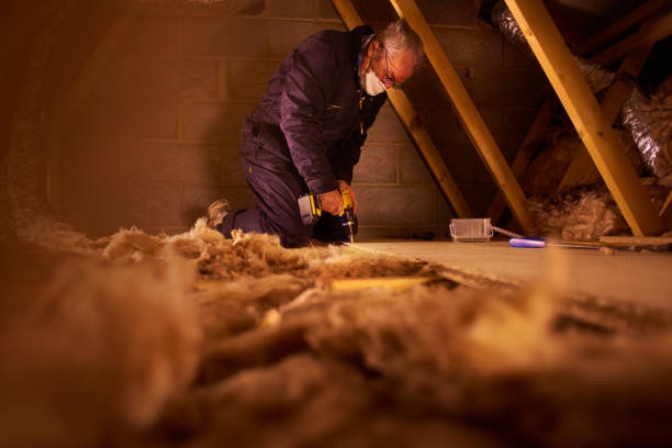 Insulation Repair Services in Dunbar, WV